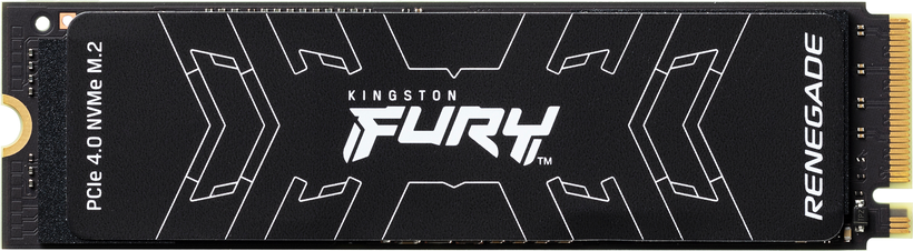 Fury Renegade SSD 1TB