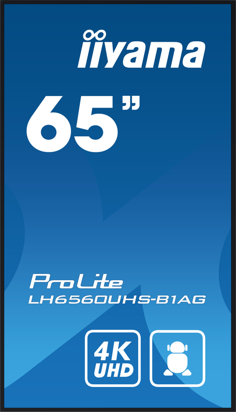 iiyama ProLite LH6560UHS-B1AG Display