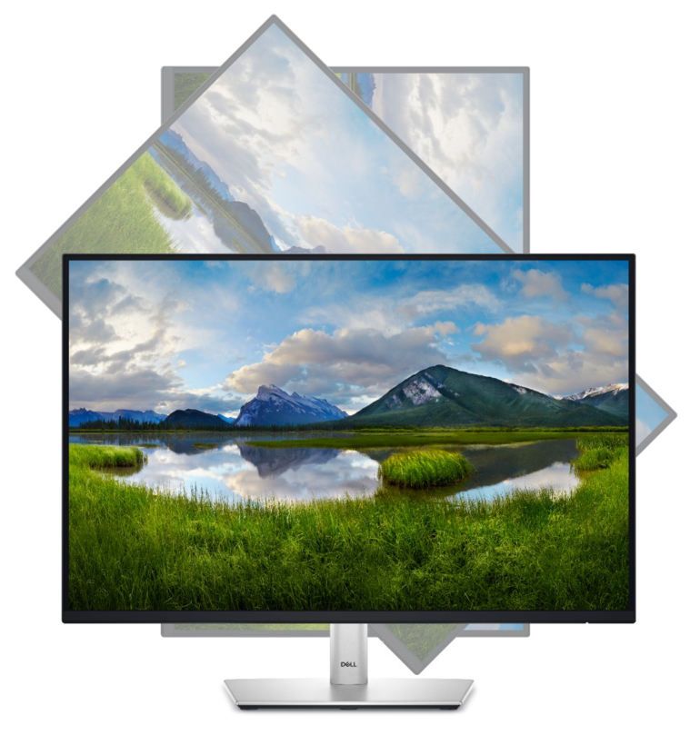 Dell P2425E USB-C Hub Monitor