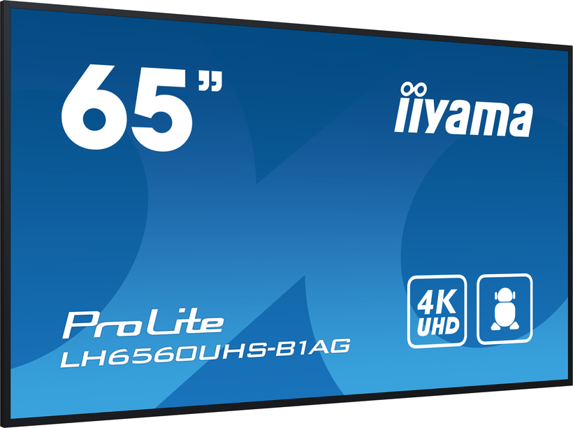 iiyama ProLite LH6560UHS-B1AG Display