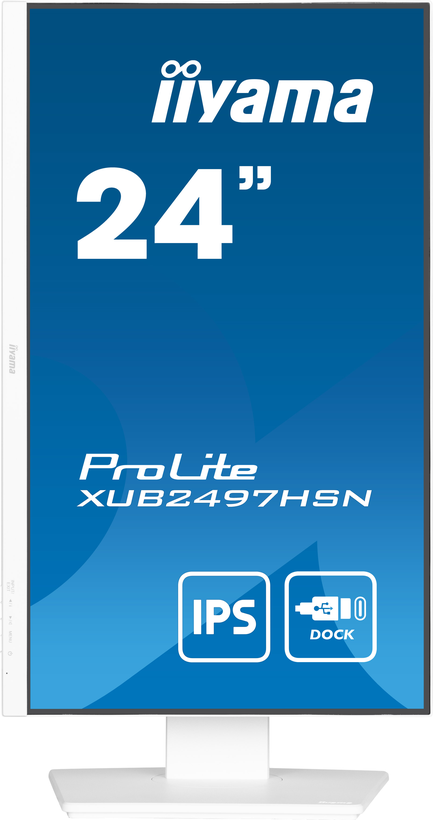 iiyama ProLite XUB2497HSN-W1 Monitor