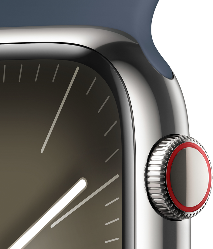 Apple Watch S9 9 LTE 45mm Steel Silver