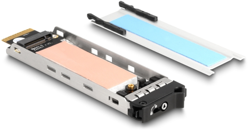 Unità estraibile PCI Express 1x M.2