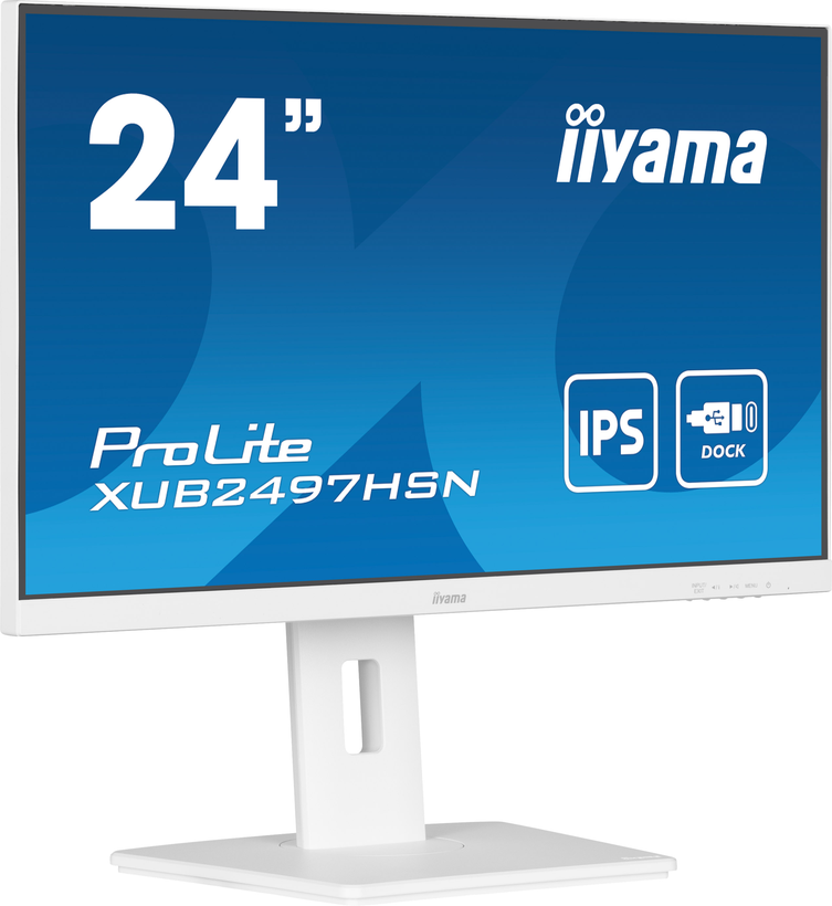 iiyama ProLite XUB2497HSN-W2 Monitor