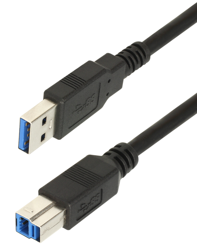 Buy Delock USBA B Cable 3m (85069)