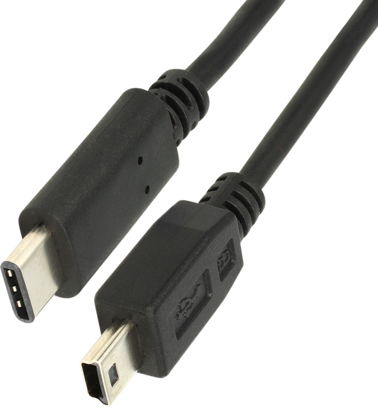 Delock USB-C - Mini-B Cable 1m