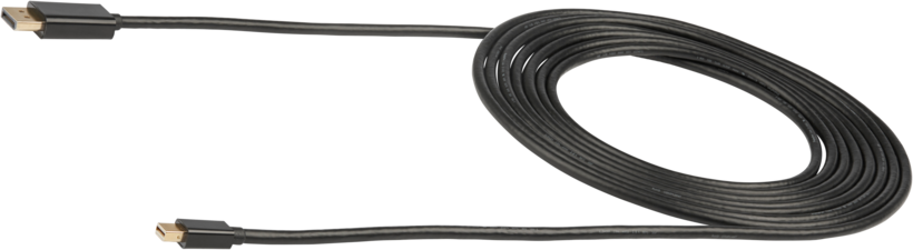 StarTech DisplayPort - Mini DP Cable 4m