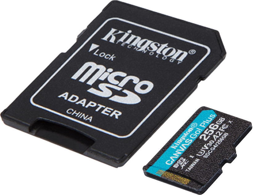Kingston Canvas Go! Plus 256GB microSDXC
