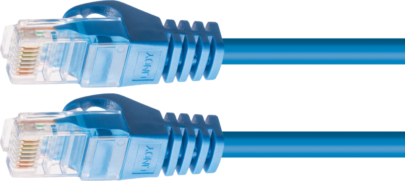 Cavo patch U/UTP RJ-45 Cat6 3 m blu