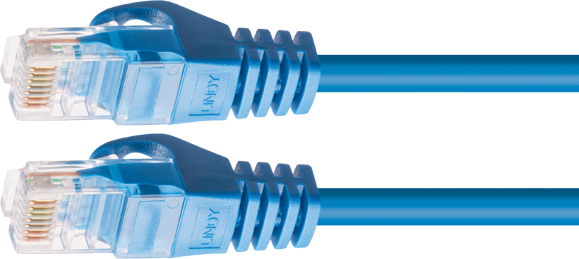 Patch Cable RJ45 U/UTP Cat6 0.3m Blue