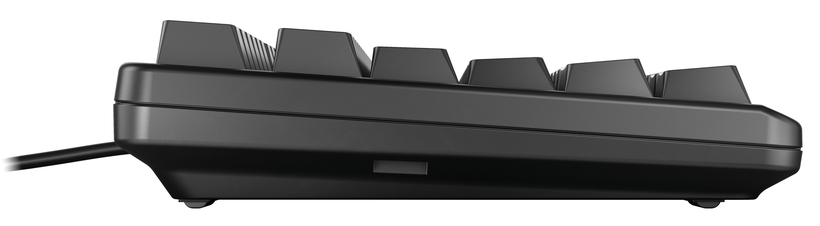 CHERRY G80-3000N RGB Tastatur
