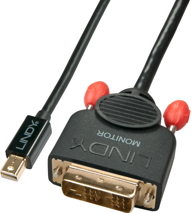 LINDY Mini DP - DVI-D Cable 2m
