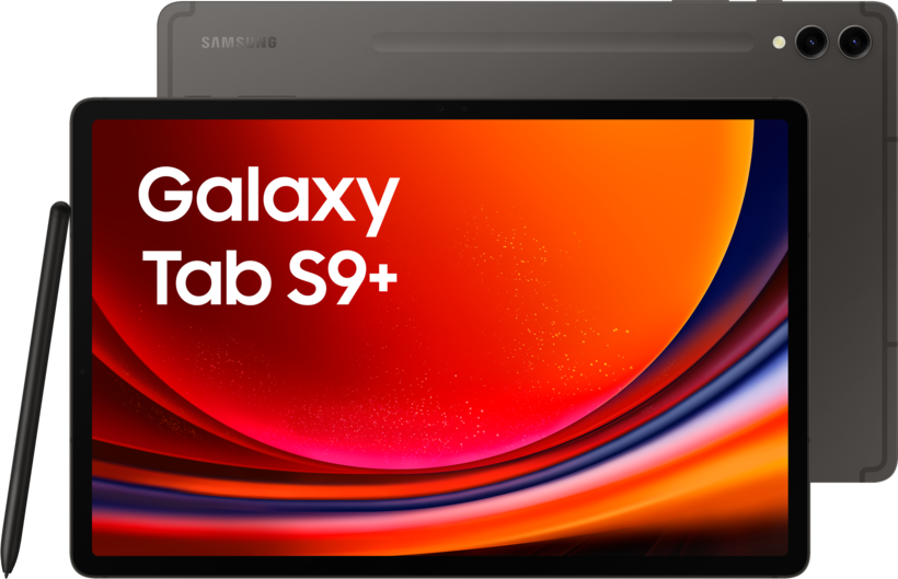 Samsung Galaxy Tab S9+ 256 GB grafit