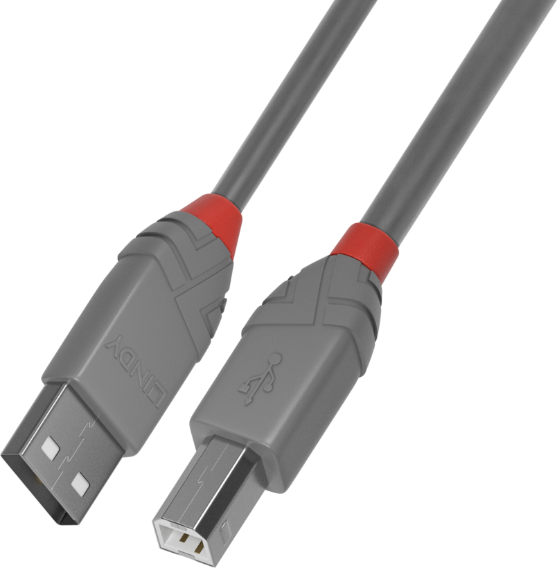 Cavo USB Type A - B LINDY 0,5 m