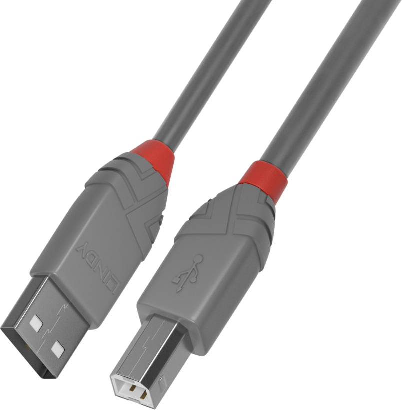 Buy LINDY USBA to USBB Cable 3m (36684)