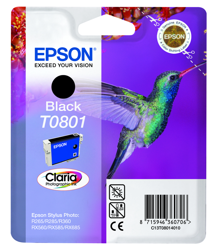 Epson T0801 Ink Black