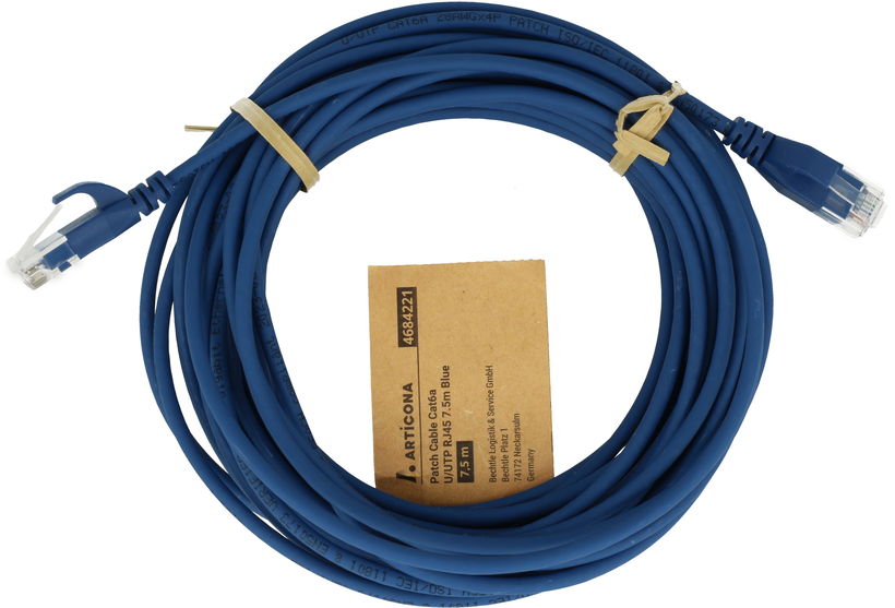 Câble patch RJ45 U/UTP Cat6a 3 m bleu