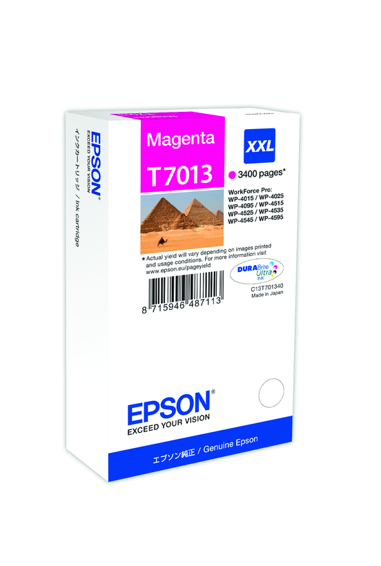 Encre Epson T7013, magenta