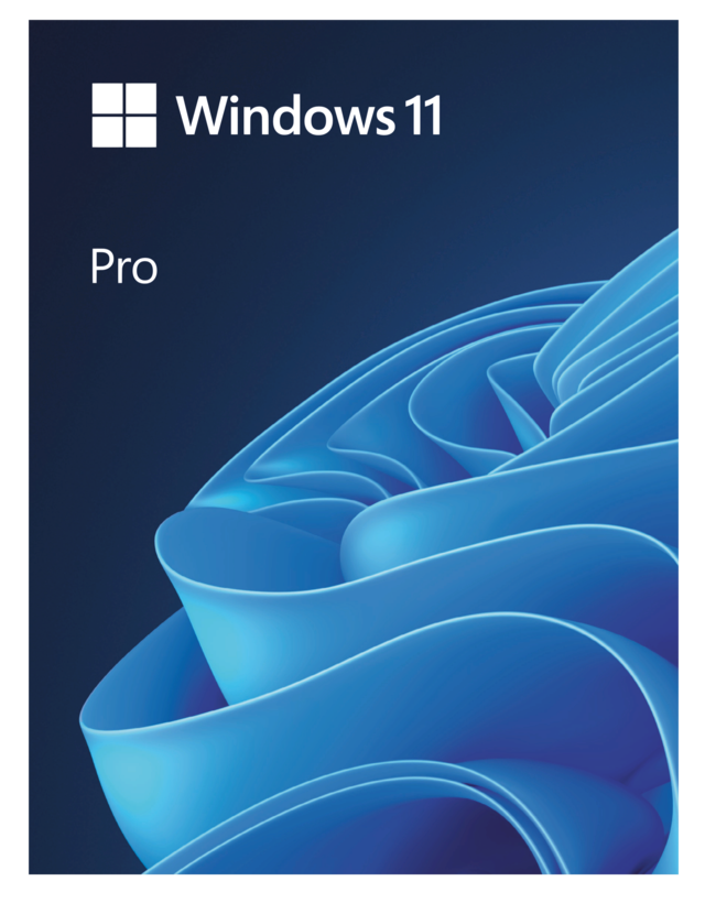 Microsoft Windows 11 Professional 1 License USB