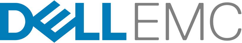 Dell 64 GB IDSDM SD-Karte