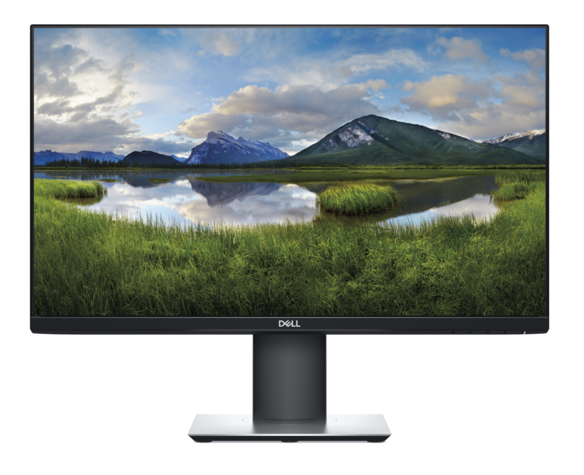 Dell Professional P2419H Monitor
