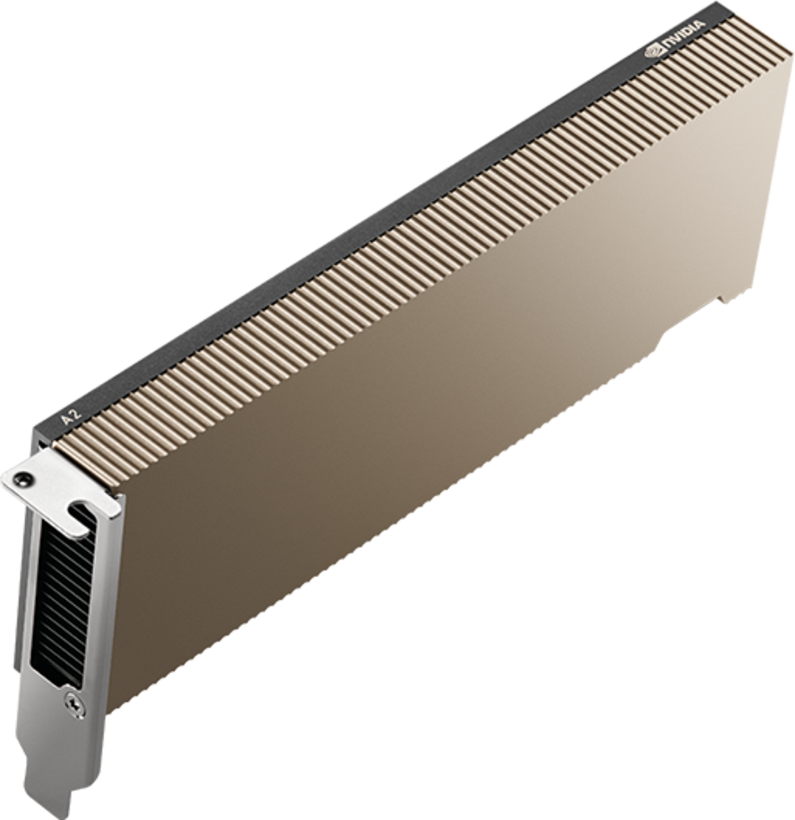 PNY NVIDIA A2 Graphics Card