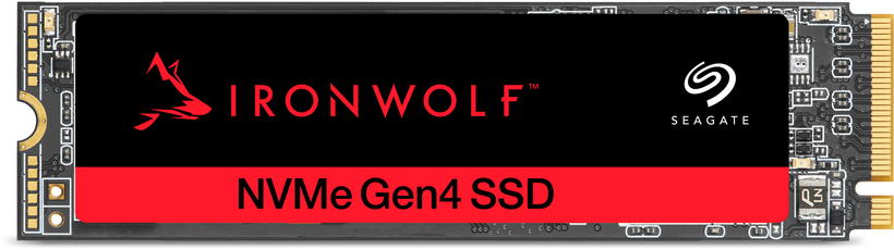 SSD 500 Go Seagate IronWolf 525