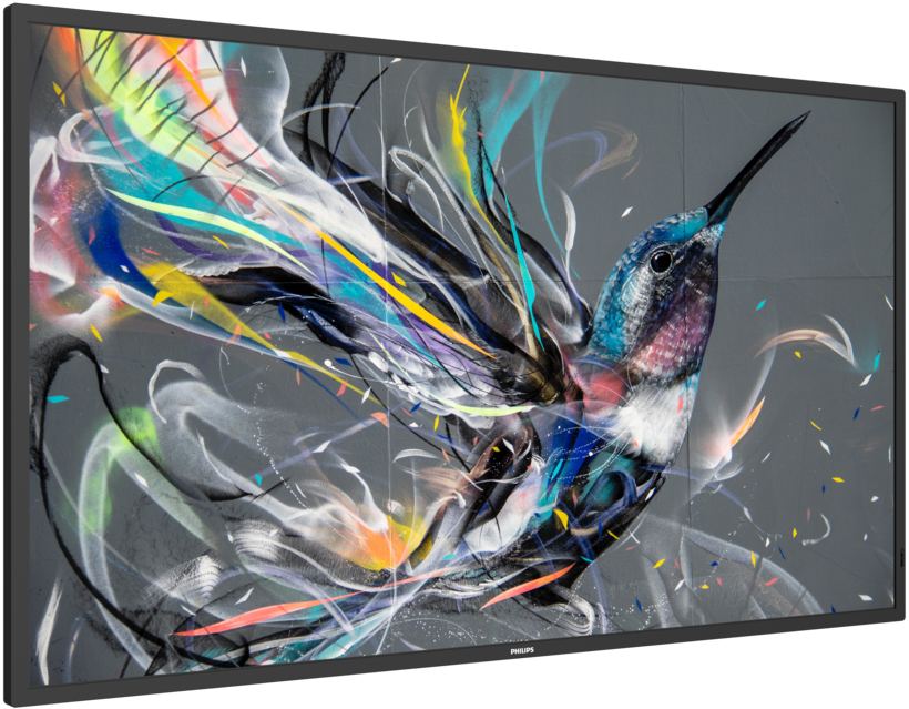 Pantalla Philips 55BDL3511Q