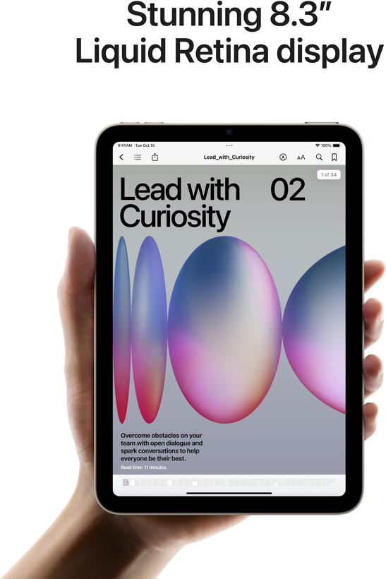 Apple iPad mini A17 Pro 5G 256 GB šedý