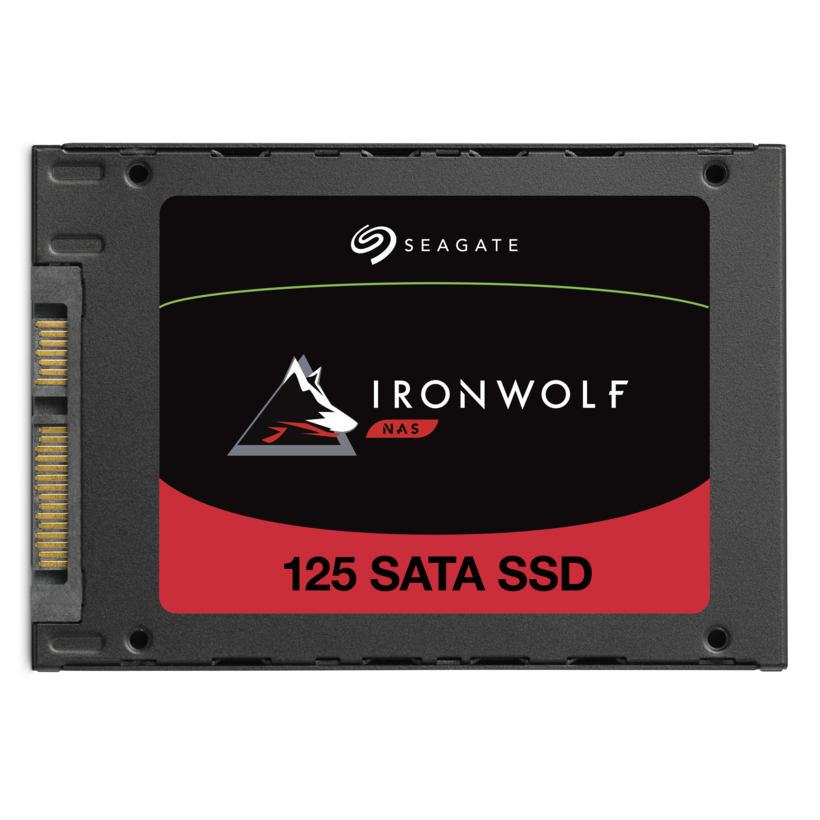 SSD Seagate IronWolf 125 NAS 250 GB