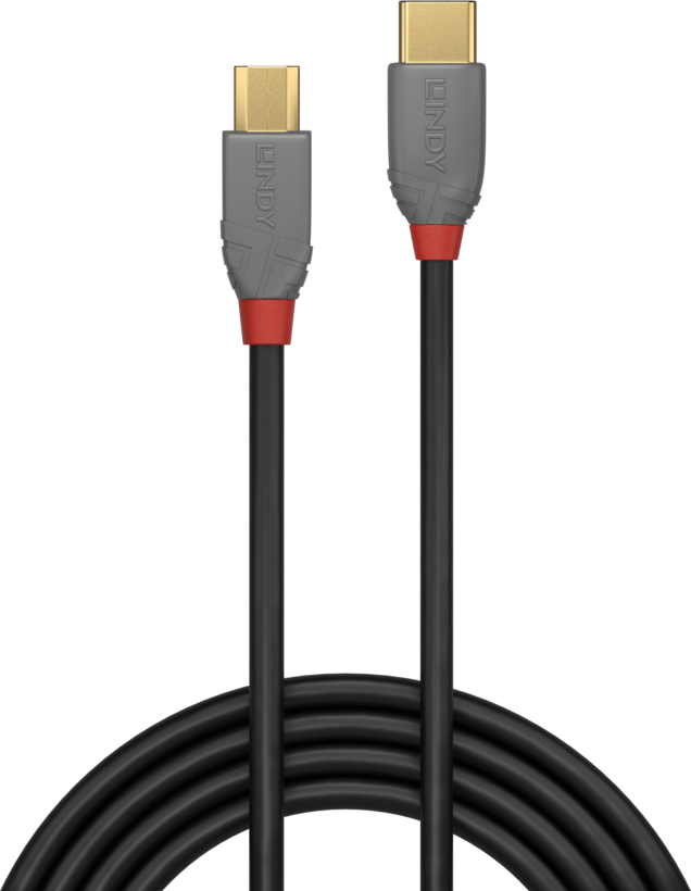 Cabo LINDY USB-C - micro-B 2 m