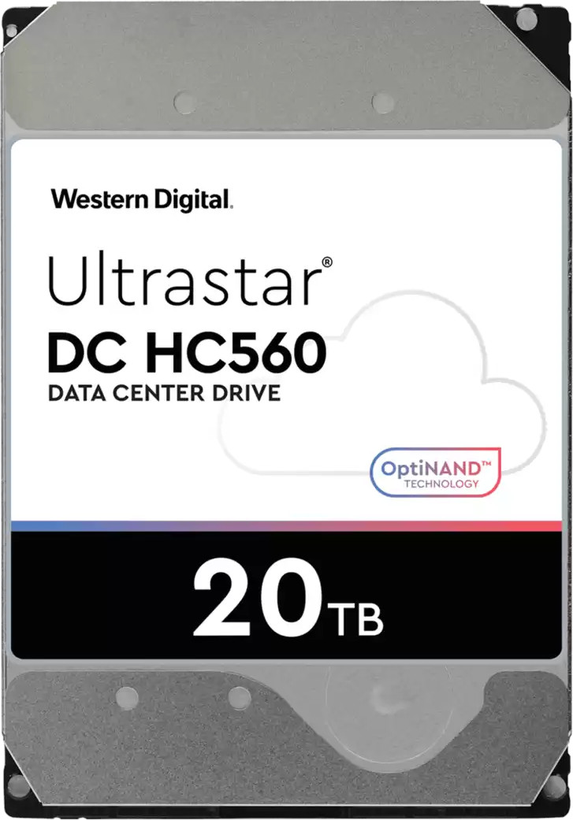 DD 20 To Western Digital HC560