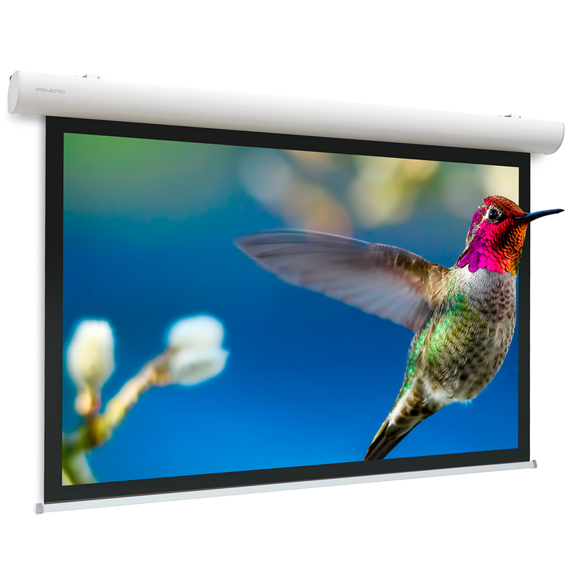 Projecta 240x154cm Projection Screen