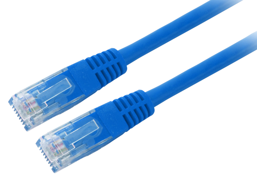 Patch Cable RJ45 U/UTP Cat6 1m Blue