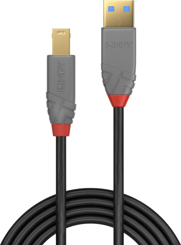 Câble USB LINDY type A - B, 1 m