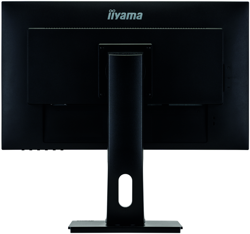 iiyama ProLite XUB2492HSN-B1 Monitor