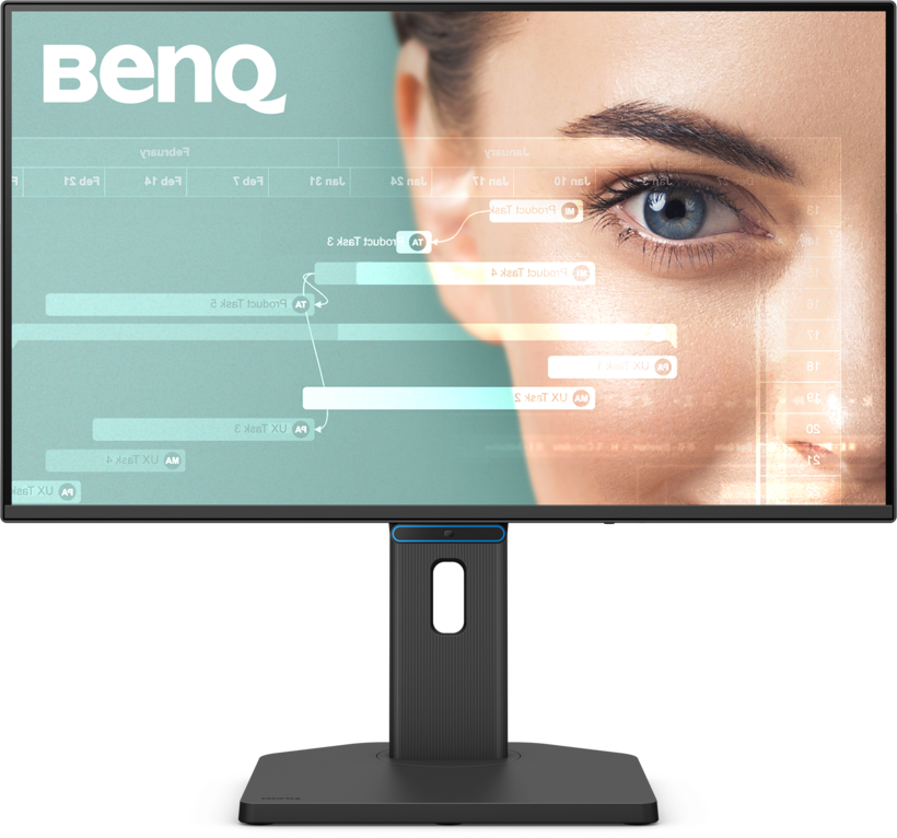 BenQ BL2490TC Monitor