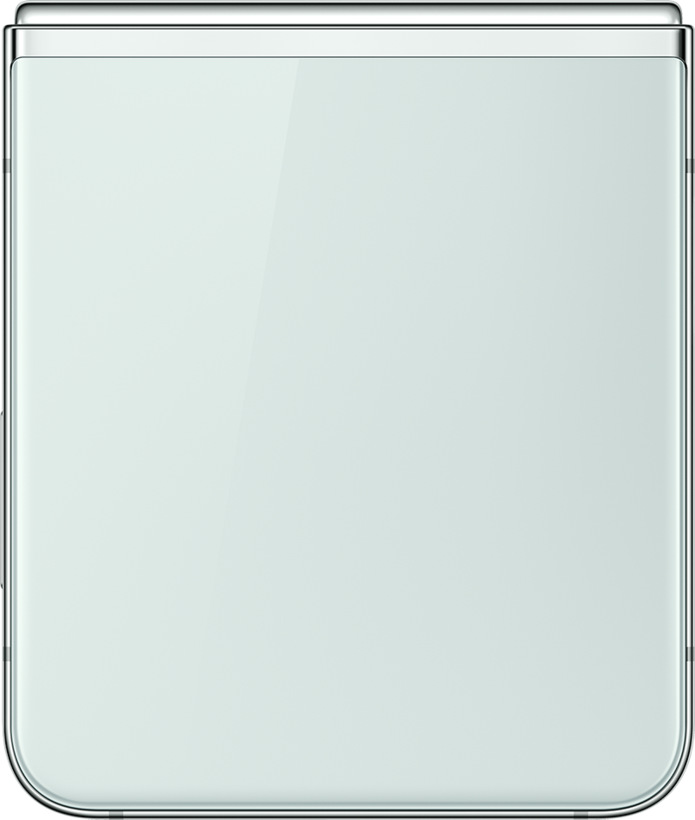 Samsung Galaxy Z Flip5 512 GB mint