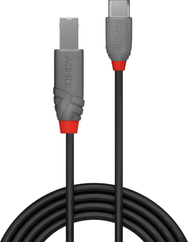Câble LINDY USB type C - B 2 m