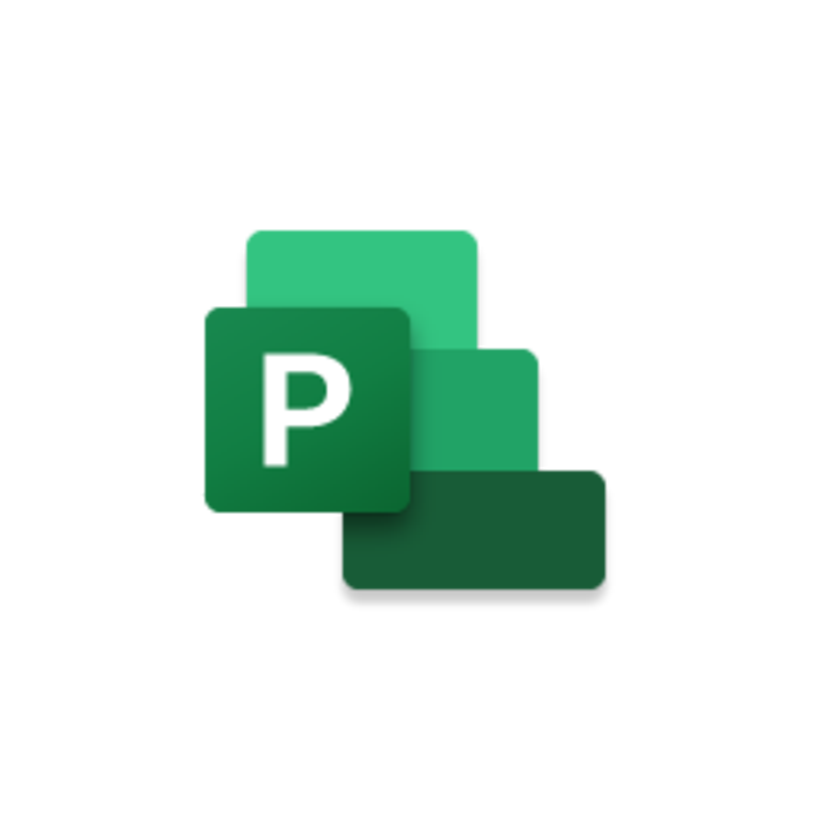 Microsoft Project Standard 2021 1 License Medialess