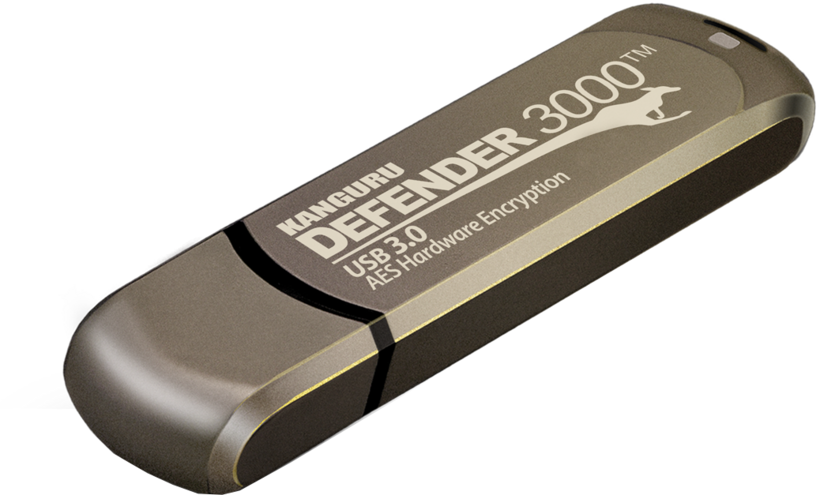 Chiavetta USB 128 GB Defender 3000