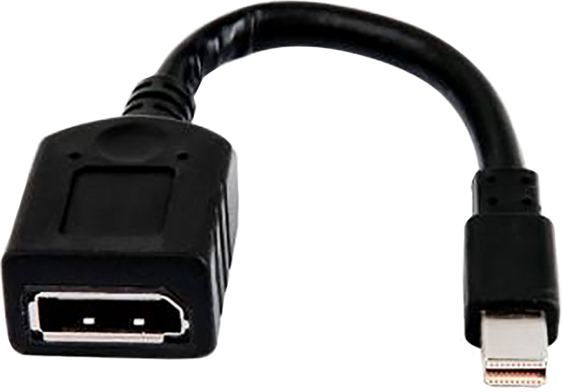 HP Mini DP - DisplayPort Adapter