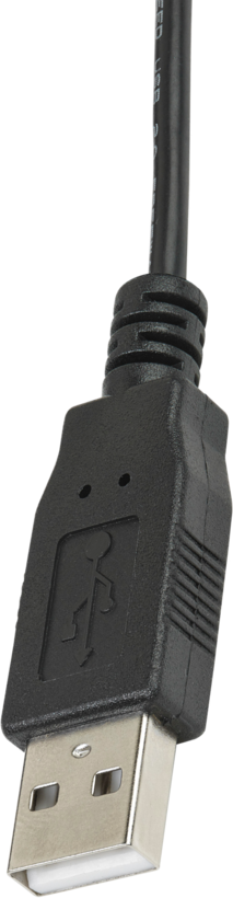 USB 2.0 - S-Video/Cinch Video Grabber