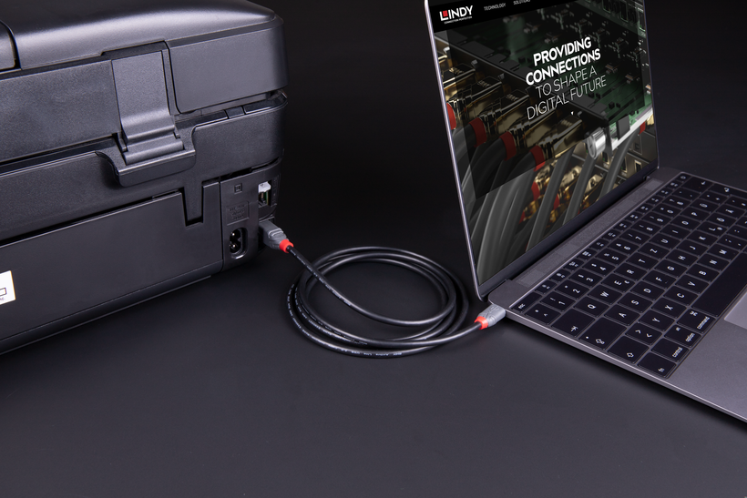 LINDY USB-C to USB-B Cable 1m