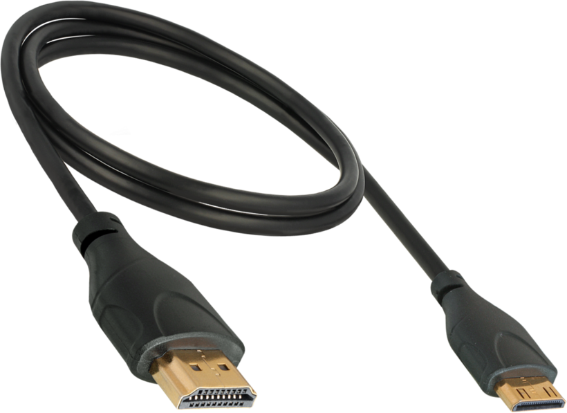 Delock Mini-HDMI - HDMI Kabel 1 m