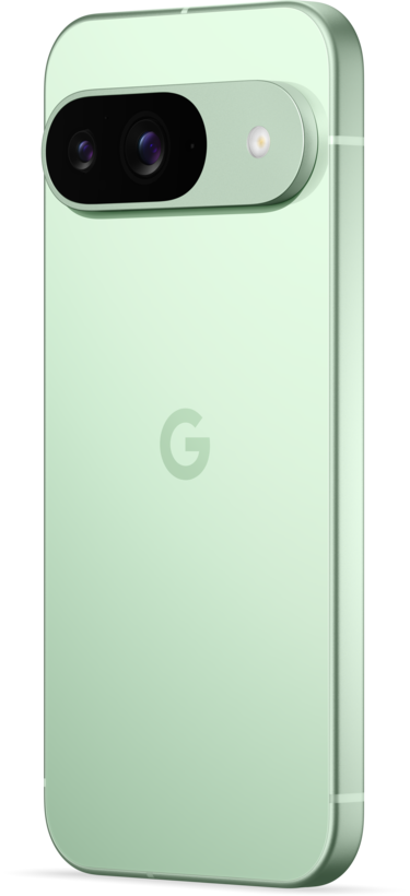 Google Pixel 9 256 GB zimní zelená