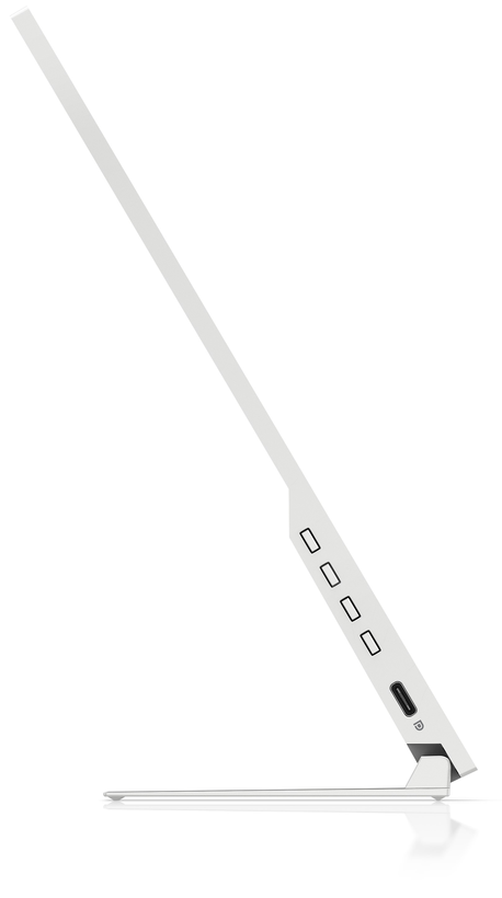 HP E14 G4 Tragbarer Monitor
