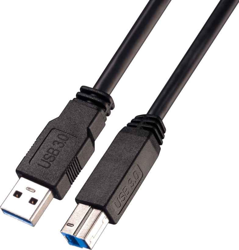 Câble USB LINDY type A - B actif, 10 m