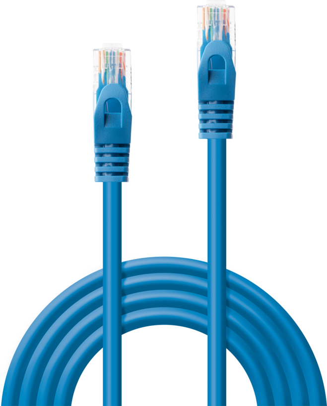 Câble patch RJ45 U/UTP Cat6 0,3 m bleu