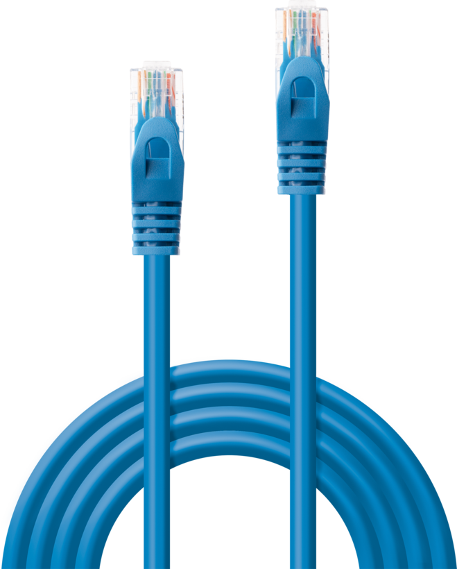 Cavo patch U/UTP RJ-45 Cat6 3 m blu